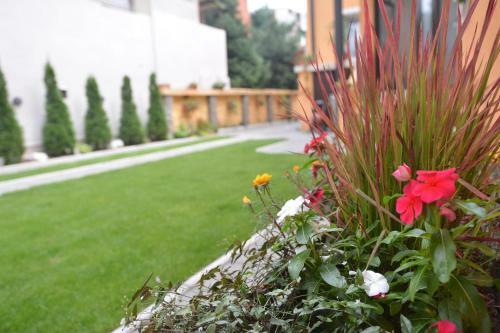 Apartments Sofija