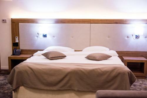 Hotel Emrovic Raj