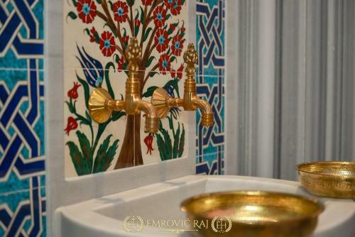 Hotel Emrovic Raj
