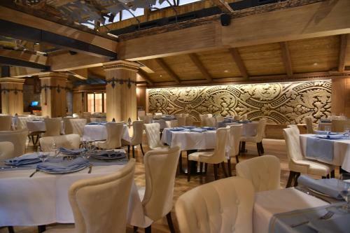 Hotel Emrovic Raj