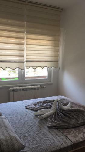 Apartment Smestaj B
