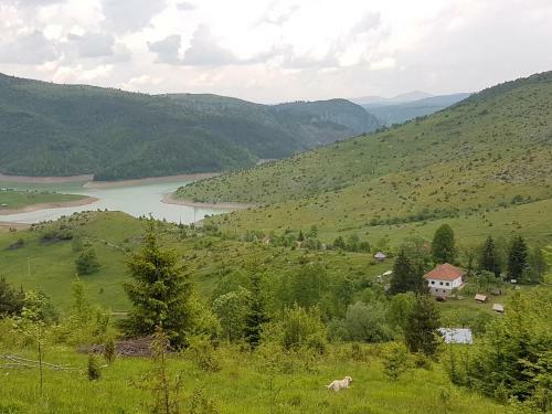 Hostal Etno Domacinstvo Saponjic