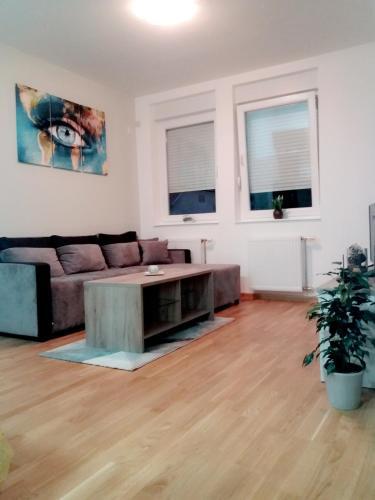 Apartamento Strahinja Home 2