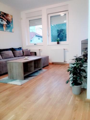 Apartamento Strahinja Home 2