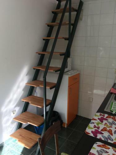Apartment Escape