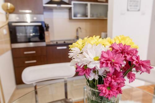 Linden Flower Apartment
