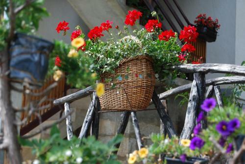 Agroturismo Seoski Turizam Melovic