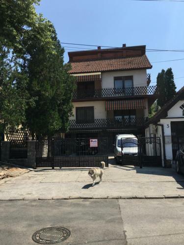 3m Apartment