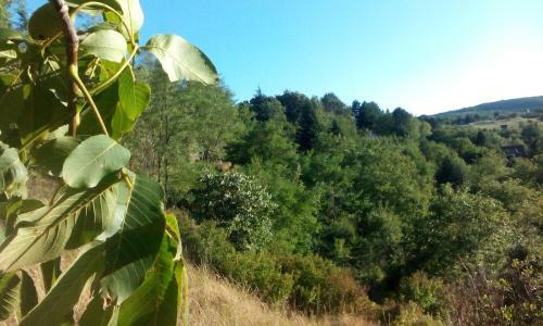 Hostal Guest House Vidmar