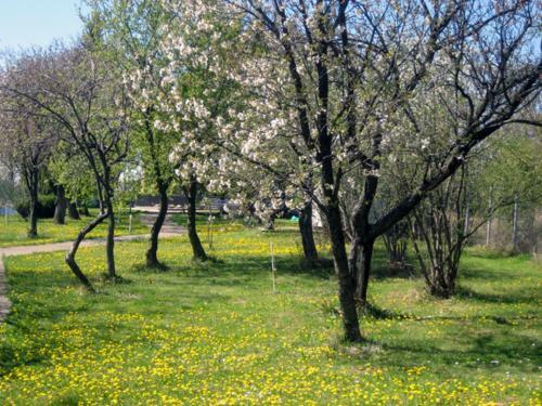 Apartments Fru?kogorje