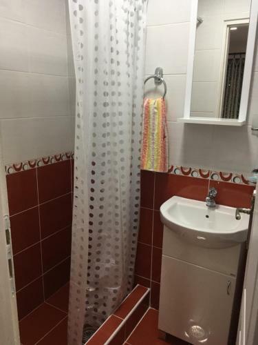 Apartamentos Pansion Velickovic