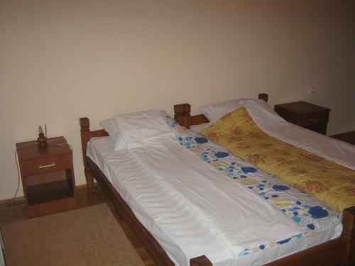 Hostal Guest House Pribojska Banja