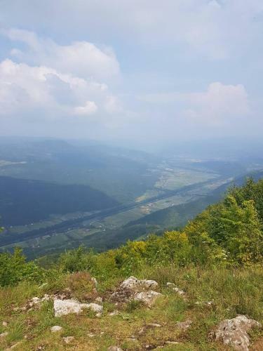 Apartments Zaric