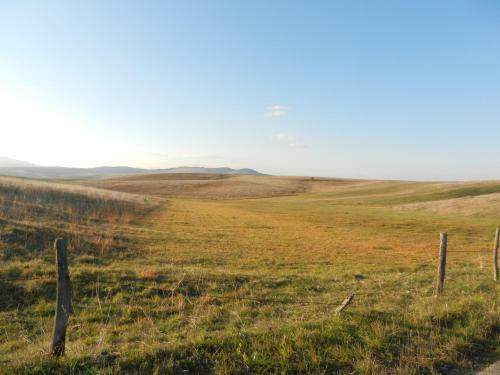 Holiday Home Vila Mirjana