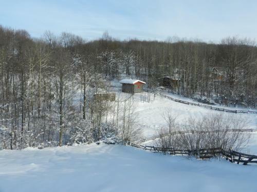 Holiday Home Vila Mirjana
