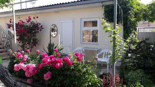 Hostal Guest House Arina