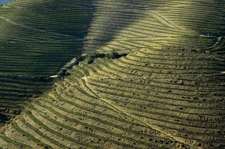 Quinta De La Rosa