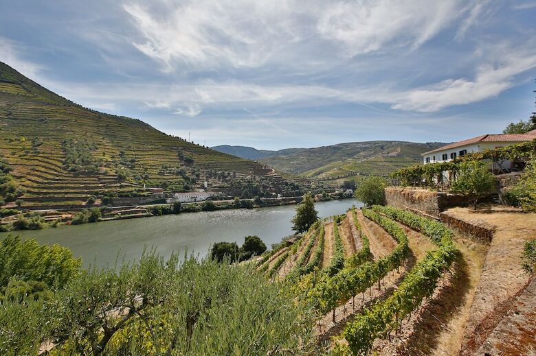 Quinta De La Rosa