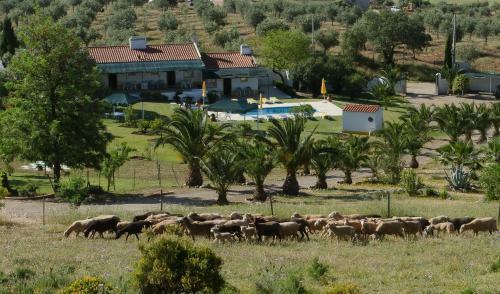 Hostal Monte Da Boa Vista - Descanso Perfeito