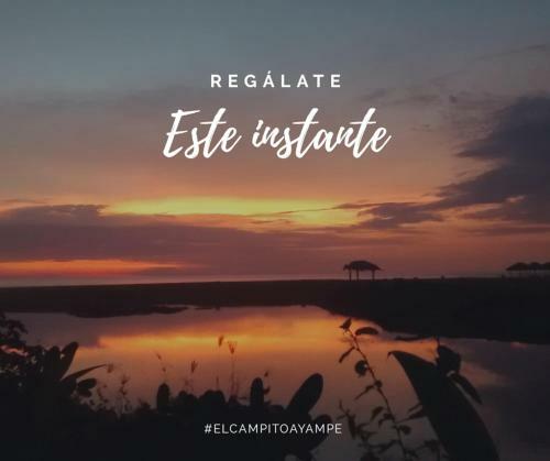 El Campito Art Lodge