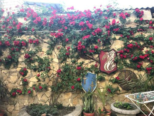 Apartamento Guest House Ivana Golubtsa