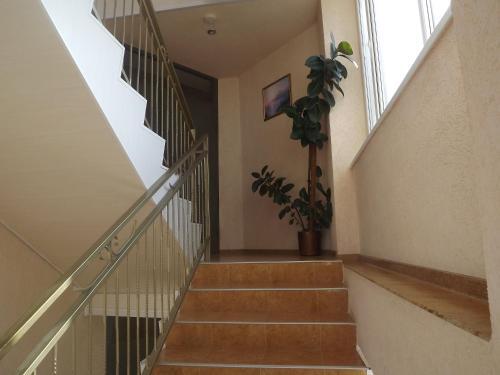 Hostal Guest House Lukomorye