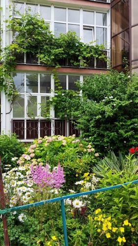 Hostal Edem U Reki Guest House