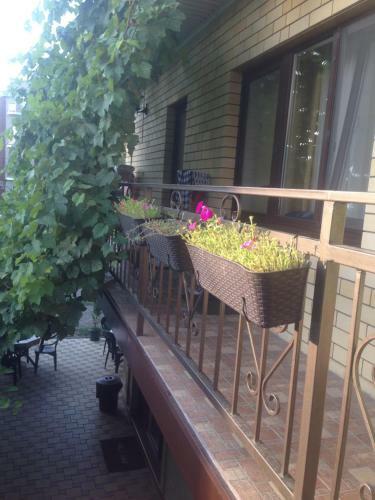 Hostal Guest House Romalina
