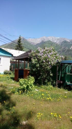 Hostal Guesthouse On Traktovaya 34