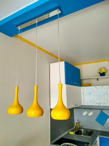 Apartment On Nikitina 107
