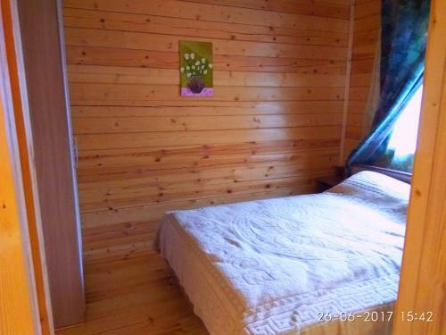 Snegiry Holiday Home