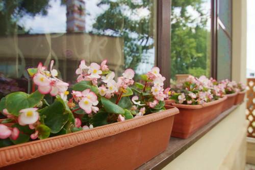 Hostal Guest House U Lukomorya