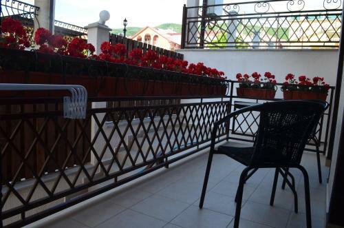 Hotel Alpen House