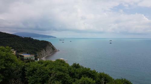 Apartament "gelendzhik"