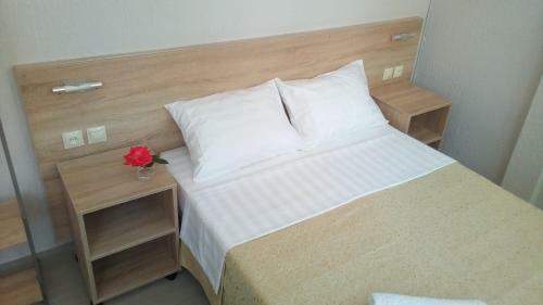 Hostal Guesthouse Garmonia