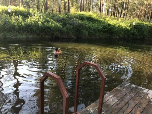 Holiday Park Lesnaya Skazka