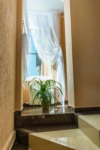 Hostal Guest House 7 Morei