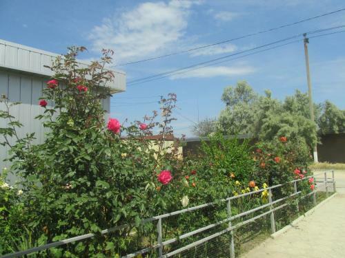 Hostal Guest House On Zapadnaya