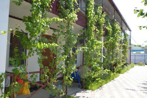 Hostal Guest House Leto