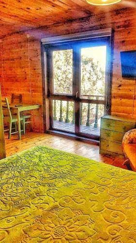 Hostal Guest House Papa Karlo