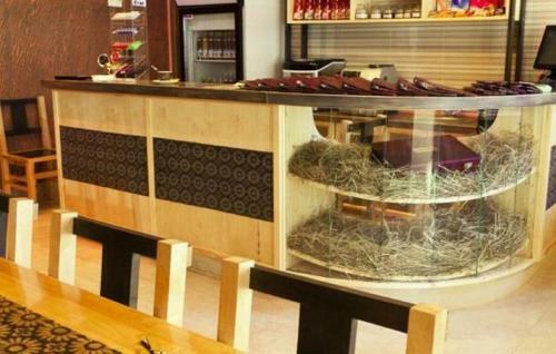 Hotel Gk Izborsk