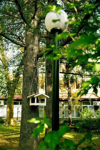 Hotel Khosta