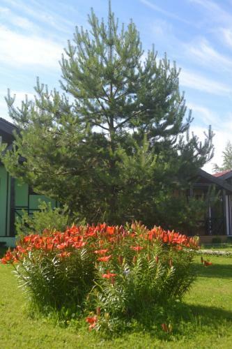 Hostal Hotel Complex Ostrov