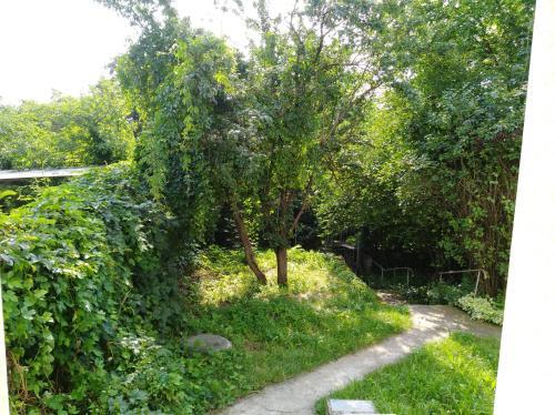 Holiday House Dacha