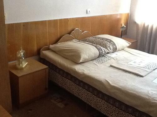 Hotel Pansionat Rodina