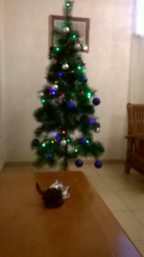 Hostal Guest House Comfort