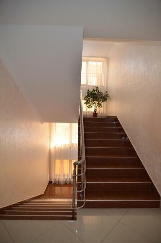 Hostal Guest House Laza Plaza