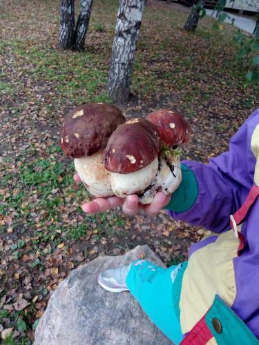 Posada Razdolie Liubiatino