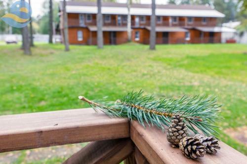 Holiday Park Zhemchuzhina