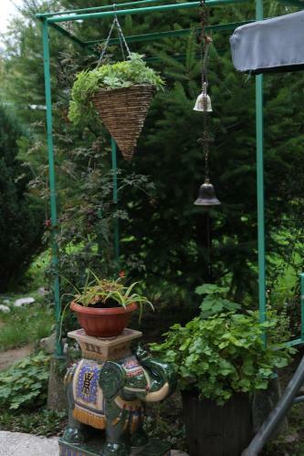 Hostal Kalina Guest House